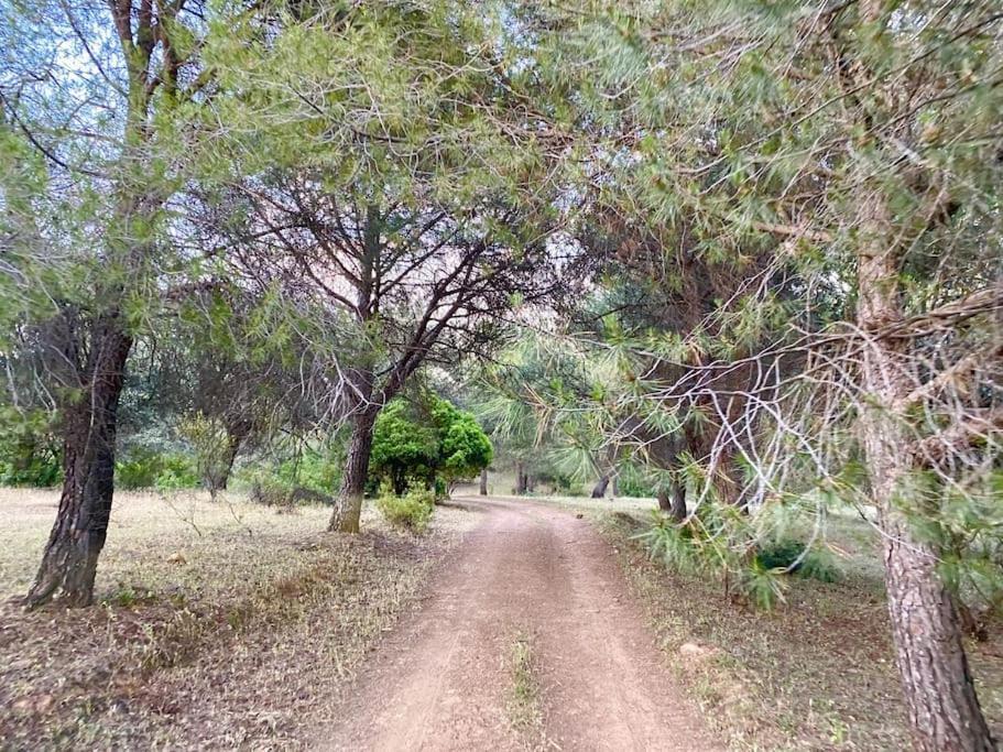 Finca La Alcolehuela En Parque Natural De Despenaperros Santa Elena Exterior foto